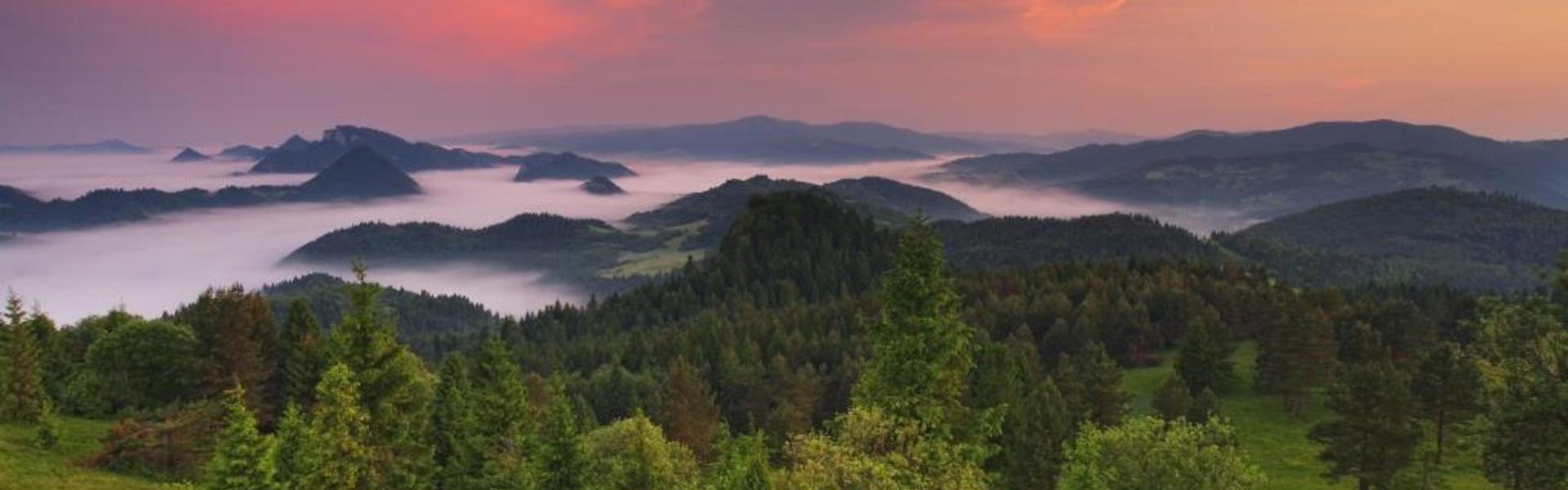 Blick auf das Pieniny-Gebirge