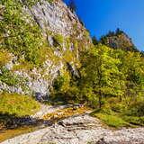 Image: Homole Gorge (the Pieniny)