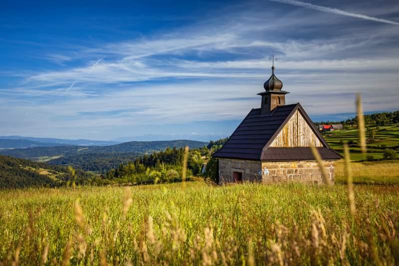 Blick auf einen Waldweg. Bäume auf der linken Seite. In der Ferne mit Pflanzen bewachsene Hügel und Berge.