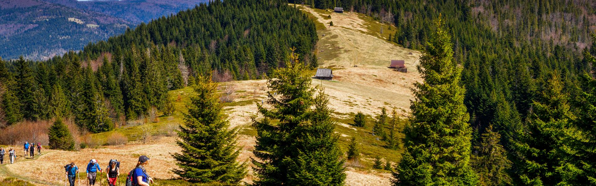 Glade at the top of a hill, surrounded by woods, trail visible and shepherd’s huts in the distance