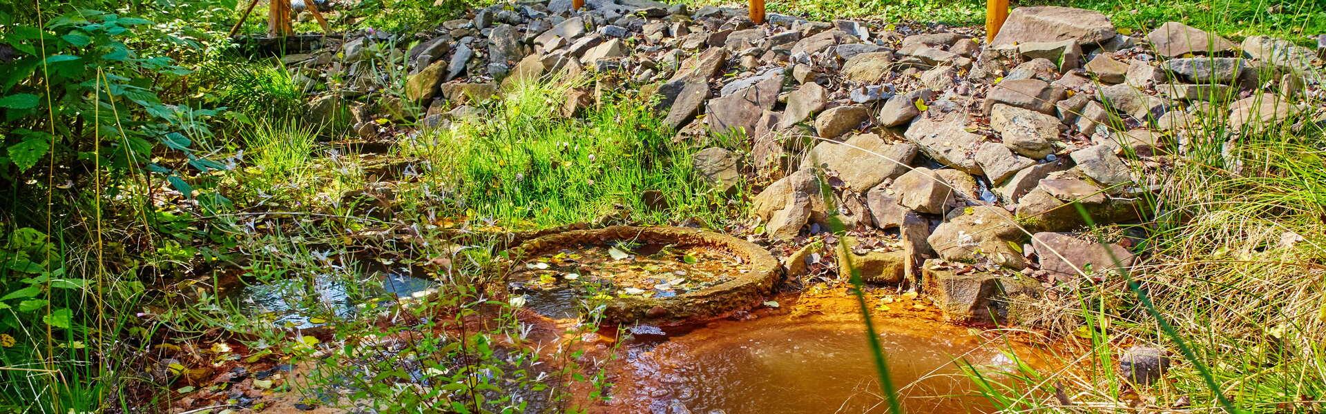 Ein Wasserteich, aus dem ein Steinkreis, s. g. Mofette (vulkanischer Ausbruch) herausragt. Sträucher rundherum. Oben eine Einzäunung aus Holz und Infotafeln.