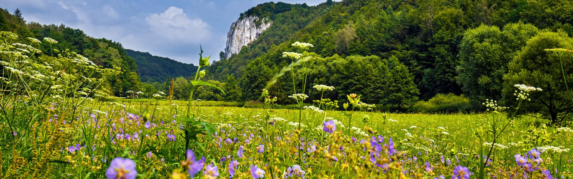 White rock surrounded by woods and meadows.