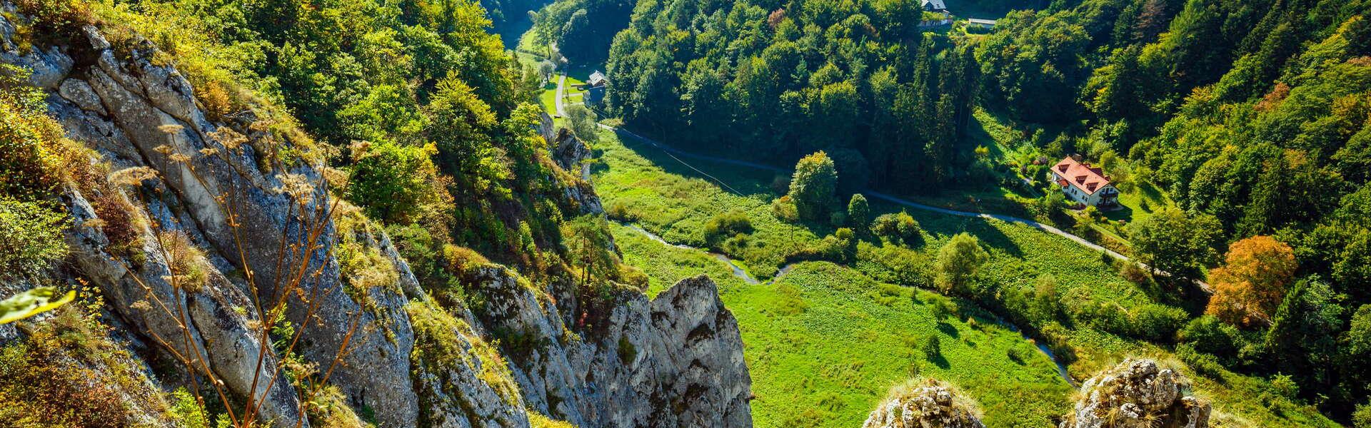 Widok z góry, z wapiennych skał na Dolinę Będkowską.