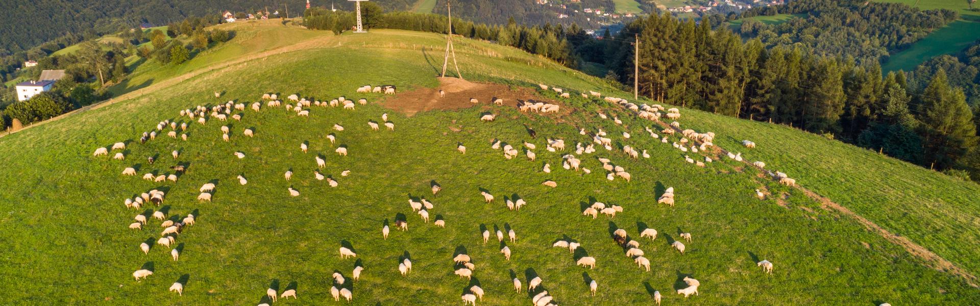 A field with a view of the mountains