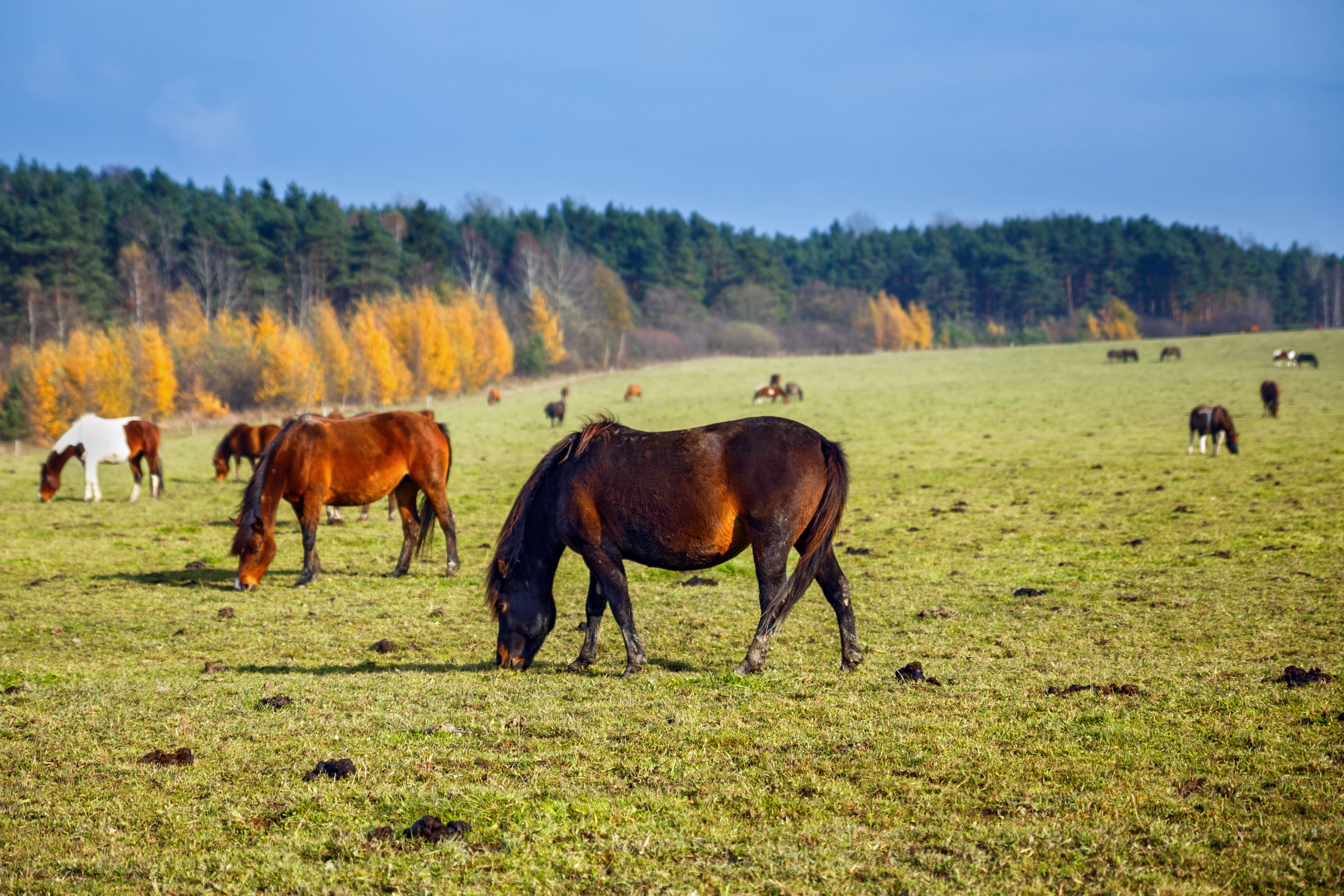 Malowane Wierchy Beskid Niski