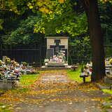 Obrazek: Alejka Cmentarz Bronowicki na Pasterniku Kraków