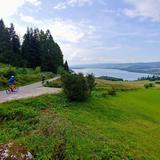 Bild: Weichsel-Radweg und VeloDunajec (für die Rennradfahrer)