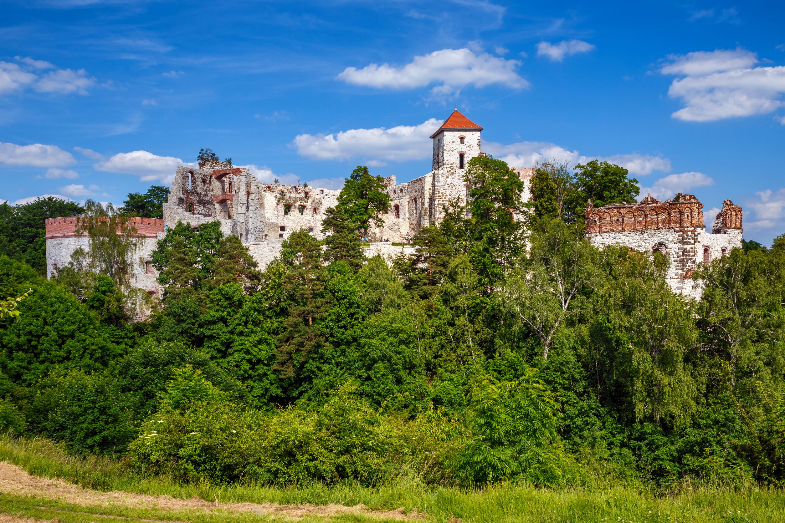 zamek na górze